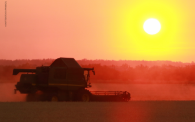 Mapa e Embrapa buscam estratégias para reduzir emissão de gases na agropecuária