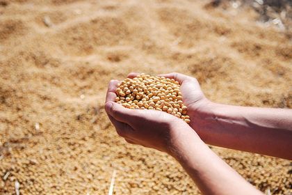 Exportação de soja do Brasil deve fechar 2018 em recorde de 82,5 milhões de toneladas
