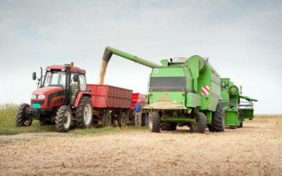 Valor da Produção Agropecuária fecha 2018 em R$ 569,8 bilhões