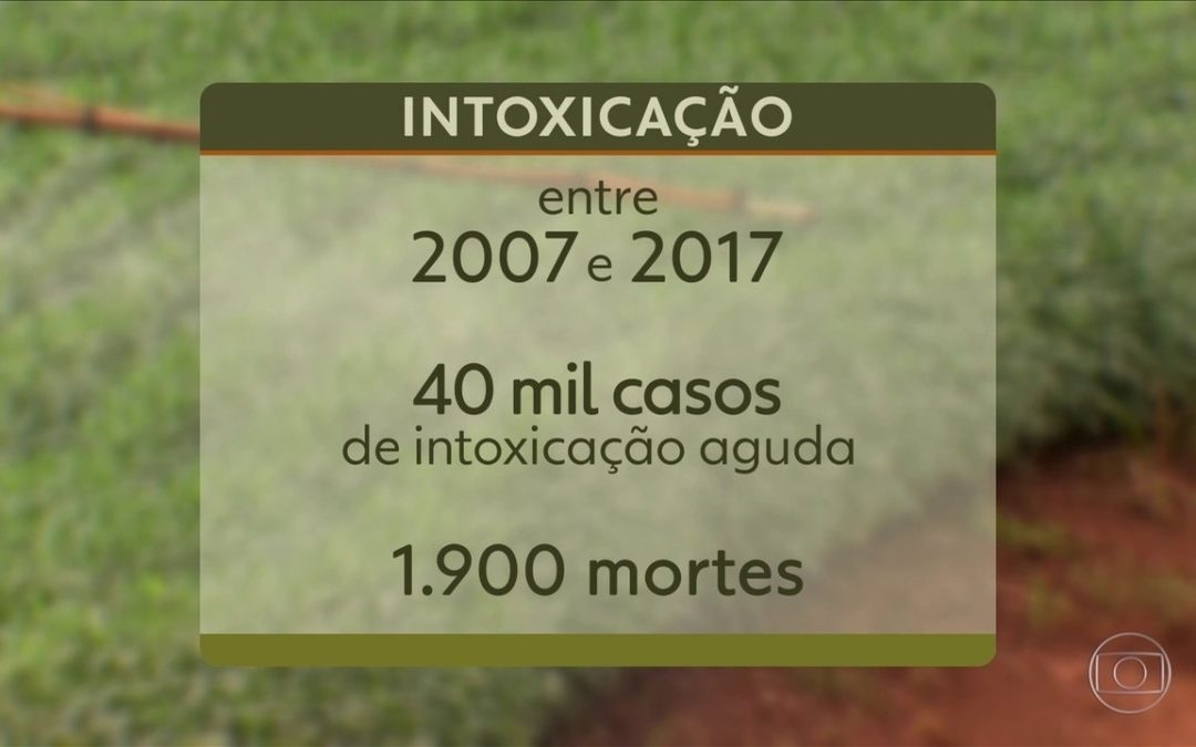 Brasil registra 40 mil casos de intoxicação por agrotóxicos em uma década