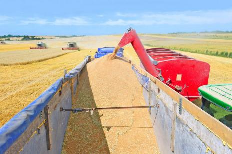 Faturamento da produção agropecuária deve encerrar 2019 em R$ 588,8 bilhões