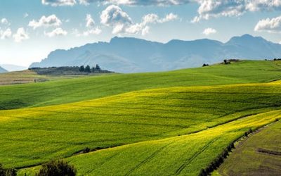 Brasil e Alemanha firmam acordo de cooperação técnica no setor agrícola