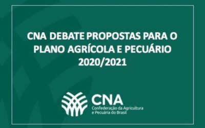 CNA debate propostas para o Plano Agrícola e Pecuário 2020/2021