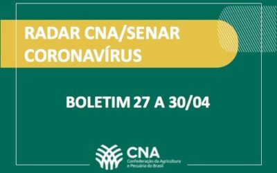 Desburocratização de crédito, compras governamentais e reabertura de floriculturas podem amenizar impactos da crise para o produtor rural