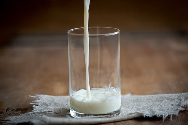 Valor de referência do leite indica recuperação no RS