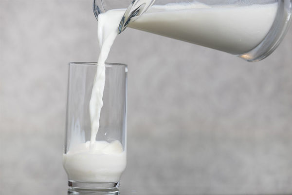 Preço do leite se mantém no RS